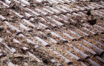 South Gosforth roof cleaning companies