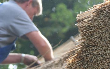 professional South Gosforth thatchers